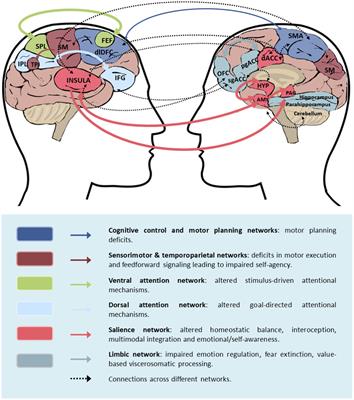 Frontiers | The Neurobiology Of Functional Neurological Disorders ...